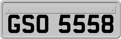GSO5558