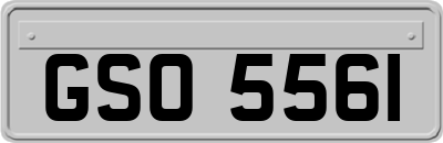 GSO5561
