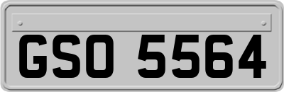 GSO5564