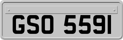 GSO5591