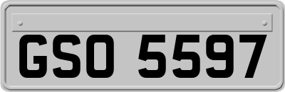 GSO5597