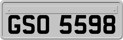 GSO5598