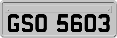 GSO5603