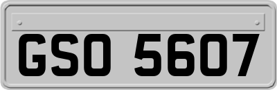 GSO5607