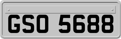 GSO5688