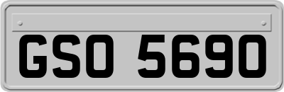 GSO5690