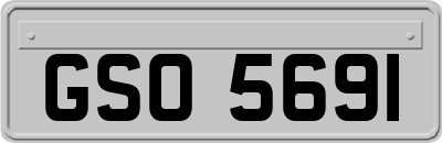 GSO5691