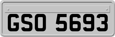 GSO5693
