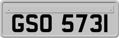 GSO5731