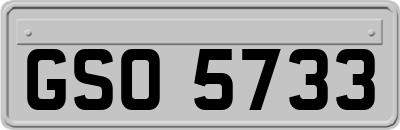GSO5733
