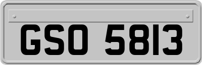 GSO5813