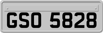 GSO5828