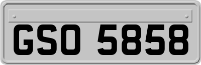 GSO5858