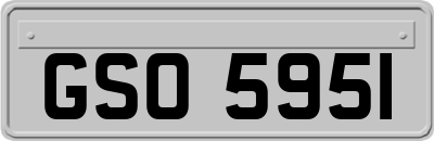 GSO5951