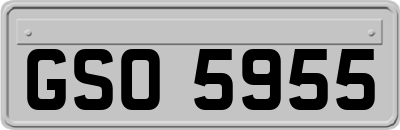 GSO5955
