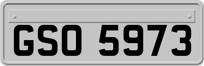 GSO5973
