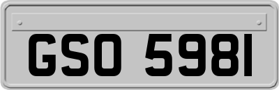 GSO5981