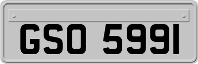 GSO5991