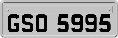 GSO5995