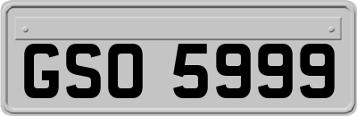 GSO5999