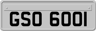 GSO6001