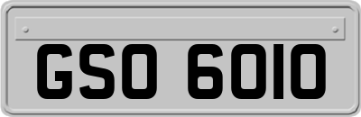 GSO6010