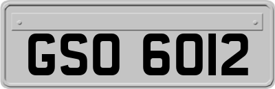 GSO6012