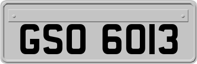 GSO6013