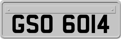 GSO6014