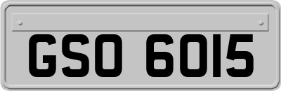 GSO6015