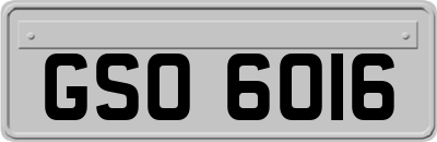 GSO6016