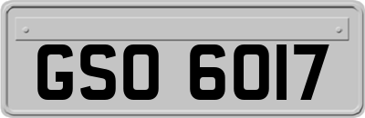 GSO6017