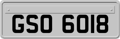 GSO6018