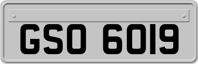 GSO6019