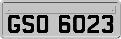 GSO6023