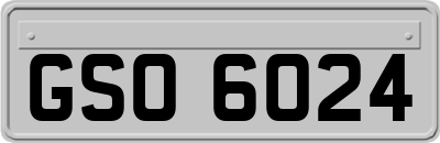 GSO6024