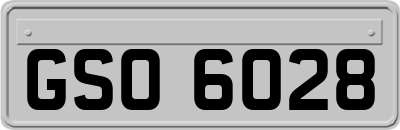 GSO6028