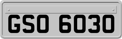 GSO6030