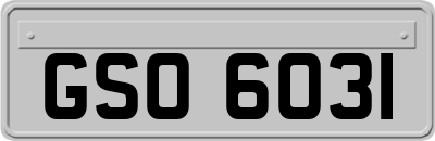 GSO6031