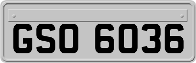 GSO6036