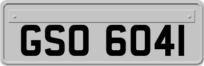 GSO6041
