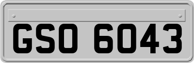 GSO6043