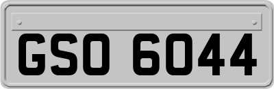 GSO6044