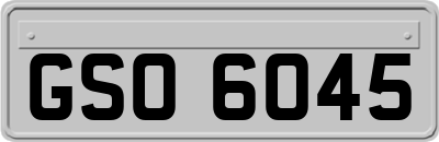 GSO6045
