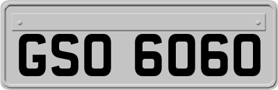 GSO6060