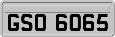GSO6065