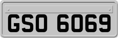 GSO6069