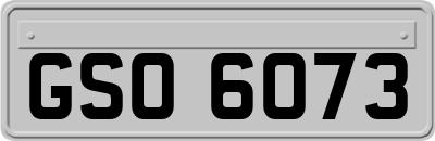 GSO6073