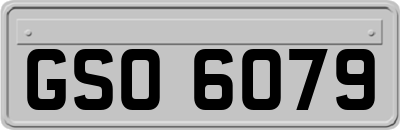 GSO6079