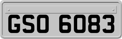 GSO6083